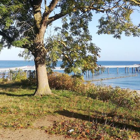 Ostseetraum Koserow Esterno foto